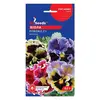 ვიოლას თესლი Elitsort Seeds GL Seeds 0.1 For Hobby