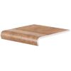 კლინკერი Cerrad Stopnica Cottage Curry 300x320x9 მმ