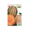 ნესვის თესლი MELON Retato degli Ortolani 256TM-ORTOTS