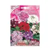 ვერბენას თესლი Verbena HYBRIDA IN MISCUGLIO FI614-MAXIFlor