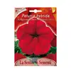 პეტუნიას თესლი Petunia Dwarf Compact SKY'S RED FI584-MAXIFlor