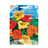 ნასტურციას თესლი Tropaleum or Nasturtium clim.IN MIX FI602-MAXIFlor