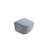 Wall hung toilet Pate B2342MHL Rimless Matt Dusty blue