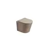 Wall hung toilet Pate B2330MC Rimless Matt Cappuccino