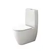 Floor standing toilet with cistern and lid Valadares Two white Rimless