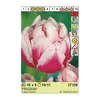 ბოლქვოვანი HBM BES Tulipa Horizon (x5)