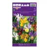ბოლქვოვანი HBM BEST BUY CAPPERLINE BES Dutch Iris Mixed (x10)