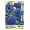 ბოლქვოვანი HBM STA Anemone Lord Lieutenant (x15)