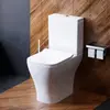 Compact toilet Damixa with duroplast seat
