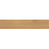 Porcelain tile Vitacer Amberly Oak 230x1200 mm