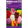 ბოლქვოვანი HBM BES Tulipa Triumph Mixed (x5)