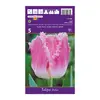 ბოლქვოვანი HBM BES Tulipa Dallas (x5)