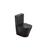 Toilet floor-standing Pate A2330XMB Rimless two-piece black Matt P-TRAP