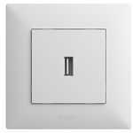 როზეტი ჩარჩოს გარეშე USB,თეთრი LEGRAND