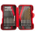 ნაკრები ექვსწახნაგა ბურღების და ბიტების Raider 157795 15 ც