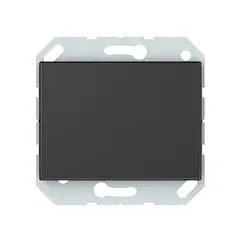 Switch pulse without frame Vilma Express XP 500 P110-012-22 an 1 key anthracite