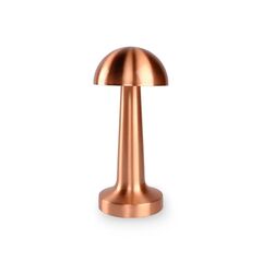 Лампа настольная аккумуляторная ACK AF11-00297 3.7W медь