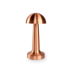 Лампа настольная аккумуляторная ACK AF11-00297 3.7W медь