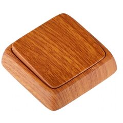 Switch brown HEGEL MASTER ВА10-113