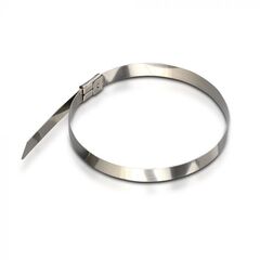 Metal tie V-TAC 4.6 250mm 100pcs 11189