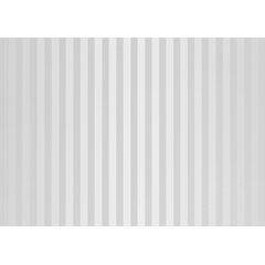 Panel PVC VOX Profile Vilo D Silver Lines 25х265 cm