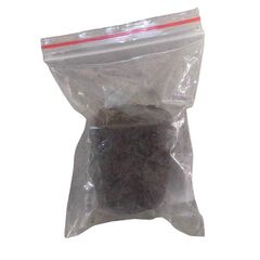 Peat seedlings 5 cm