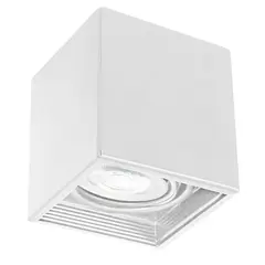 Point light Luminex Downlight 323 1xGU10 8W white