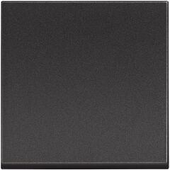 ჩამრთველი ჩარჩოს გარეშე Bticino 2 bt-RG4001M2