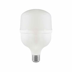 ნათურა LED V-TAC 23570 T100 E27 30W 4000K