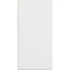 Switch without frame Bticino 1 bt-RW4001