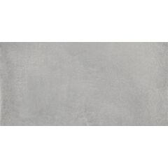 Porcelain tile Emotion Ceramics Galaxy Gris 300x600 mm