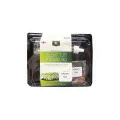 Box for growing microgreens clover