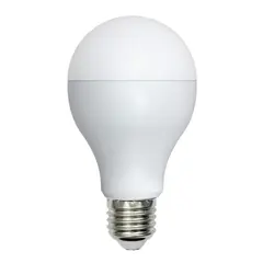 LED Lamp NEWPORT G95-12W E27 2700K
