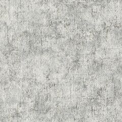 Vinyl wallpaper Expromt 5802-10 0.53x10 m