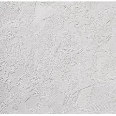 Wallpaper for painting Lanita C-118 1.06x25