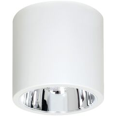 Point light Luminex Downlight round 7242 D22.9 1xE27 60W white