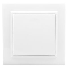 Switch 1 key 10a EKF white