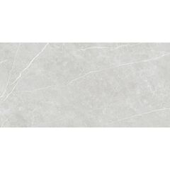 Керамогранит Tau Ceramica Elite Silver 600x1200 мм