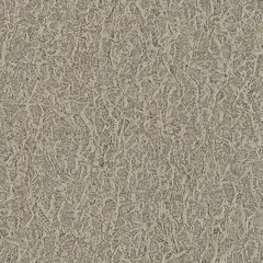 Виниловые обои Comfort 5685-12 0.53x15 м