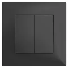 Switch without frame Legrand 768306 2 key black