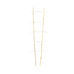 Bamboo decorative 120 cm