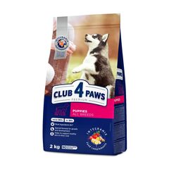 Dry food for puppies 4 Paws 2kg