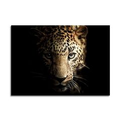 Glass picture Styler Leopard GL246 70X100 cm