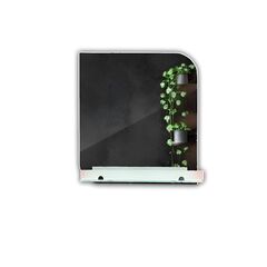 სარკე Euro Glass A-02-2 500x450