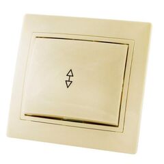 ჩამრთველი გამავალი TDM 10 A 220 V