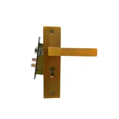Set handle on bar and lock BT Group G861 60 mm. golden