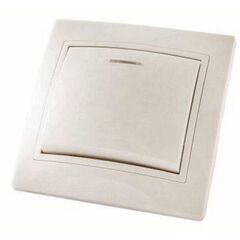 Switch with ulimination TDM 10 A  220 V