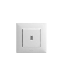 Socket no frame LEGRAND USB 10A
