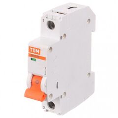 Circuit breaker ВА47-29 1Р 63А 4,5кА х-ка С TDM