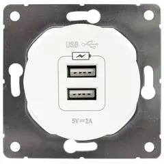 Розетка USB DPM Soul SEU1028W 2 местная белая